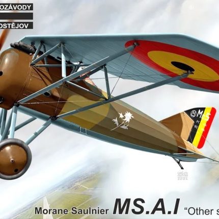 Morane Saulnier MS.A.I "Other services"