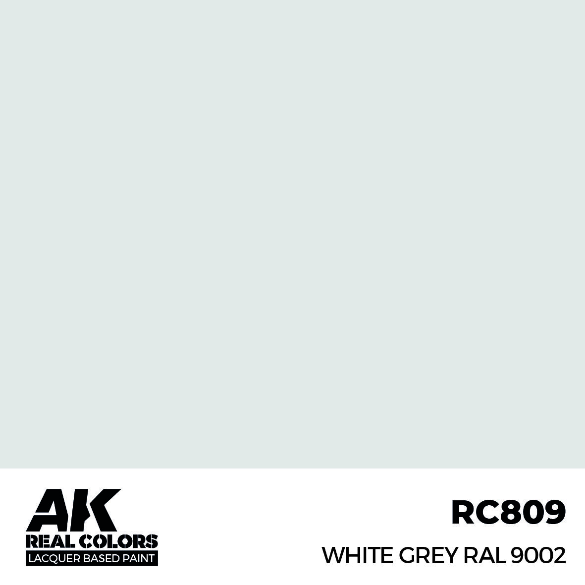 White Grey RAL 9002 17 ml.